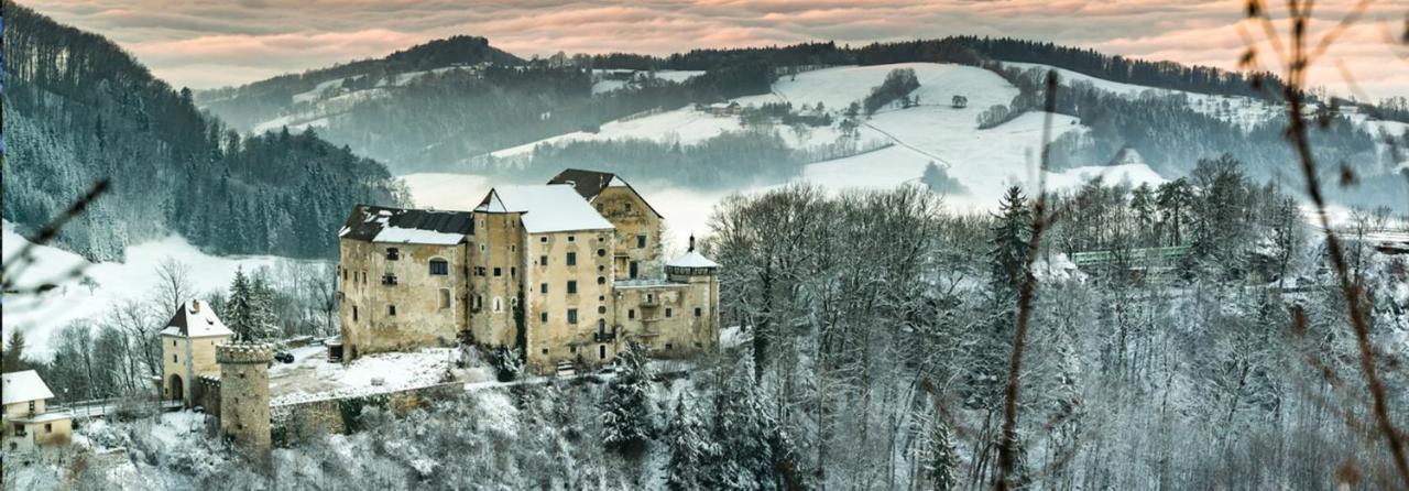 Burg Plankenstein Hotel Texing Екстериор снимка