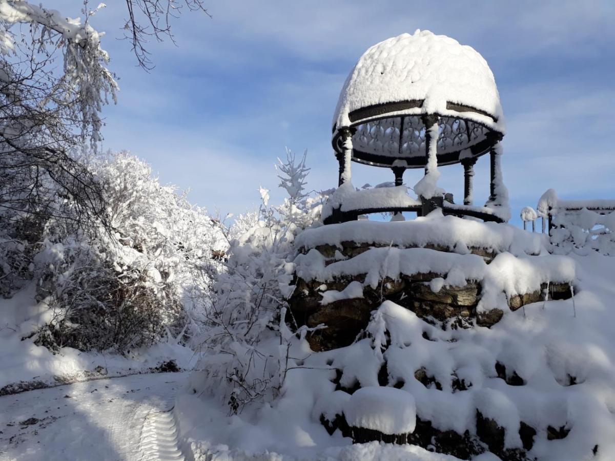 Burg Plankenstein Hotel Texing Екстериор снимка